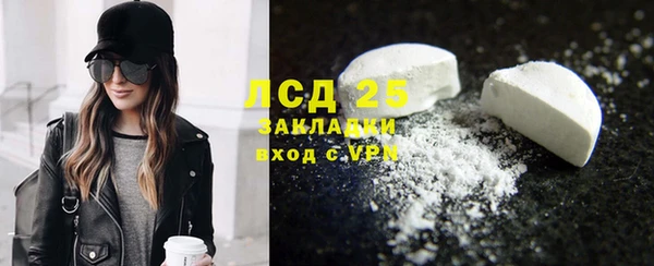 прущий лед Алзамай