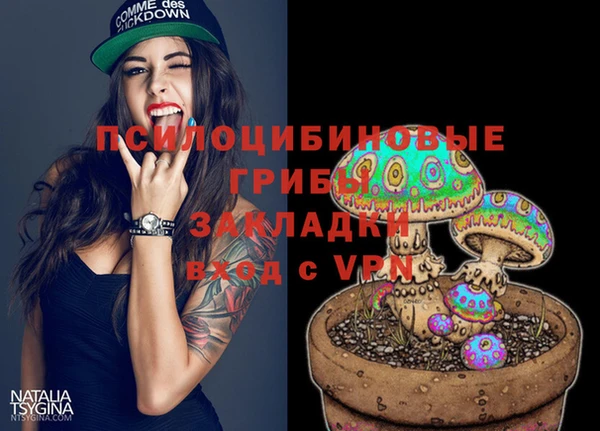 марки lsd Ельня