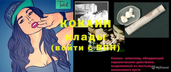 прущий лед Алзамай